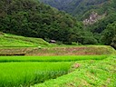 男神山付近 (Ogami-san)