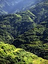 Banaue-11