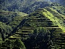 Banaue-10