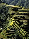 Banaue-09