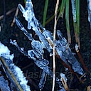Icicles-11