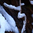 Icicles-12