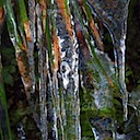 Icicles-15